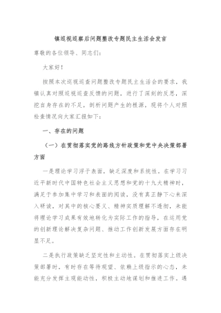 镇巡视巡察后问题整改专题民主生活会发言