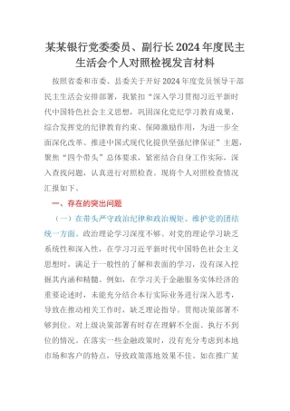 某某银行党委委员、副行长2024年度民主生活会个人对照检视发言材料