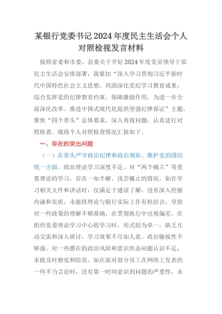某银行党委书记2024年度民主生活会个人对照检视发言材料
