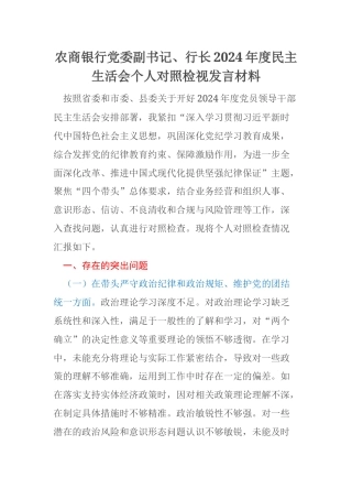 农商银行党委副书记、行长2024年度民主生活会个人对照检视发言材料