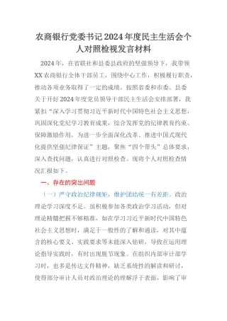 农商银行党委书记2024年度民主生活会个人对照检视发言材料
