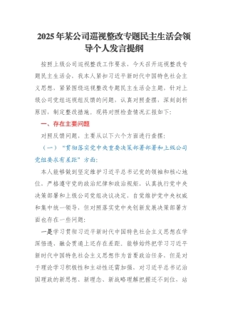 2025年某公司巡视整改专题民主生活会领导个人发言提纲