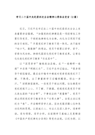 (2篇)学习二十届中央纪委四次全会精神心得体会发言