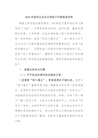 2024年组织生活会支部班子对照检查材料