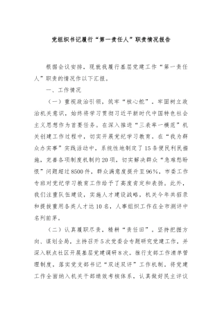 党组织书记履行“第一责任人”职责情况报告