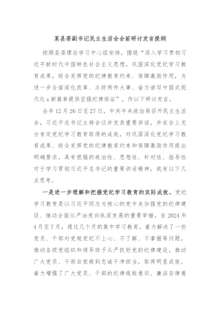 某县委副书记民主生活会会前研讨发言提纲