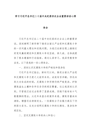 学习习近平总书记二十届中央纪委四次全会重要讲话心得体会