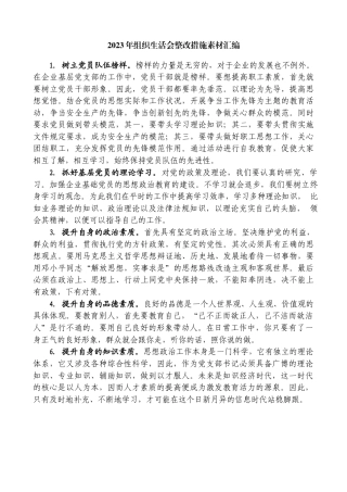 2023年组织生活会整改措施素材汇编