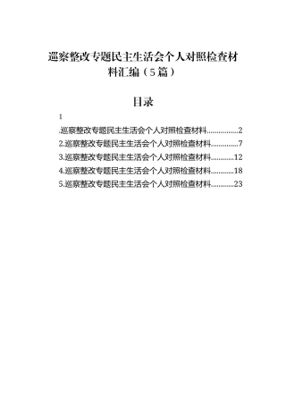 巡察整改专题民主生活会个人对照检查材料汇编（5篇）