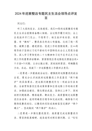 2024年巡察整改专题民主生活会领导点评发言