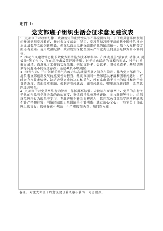 党支部班子组织生活会征求意见建议表