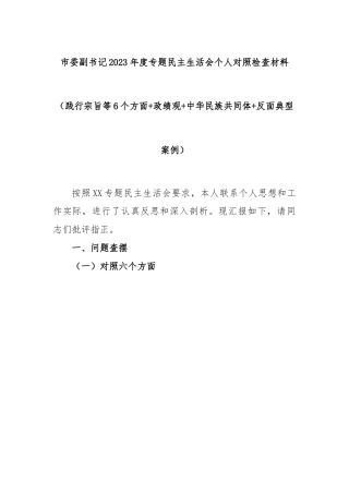 市委副书记2023年度专题民主生活会个人对照检查材料（践行宗旨等6个方面+政绩观+中华民族共同体+反面典型案例）