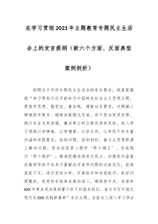 在学习贯彻2023年主题教育专题民主生活会上的发言稿提纲（新六个方面、反面典型案例剖析）