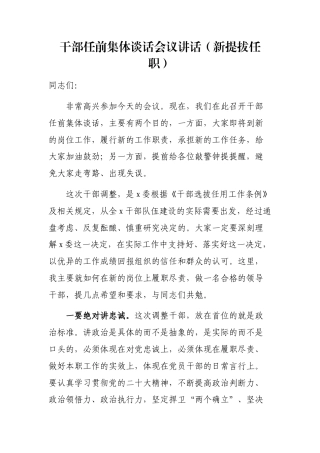 干部任前集体谈话会议讲话（新提拔任职）