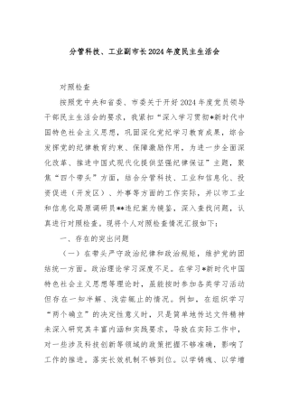 分管科技、工业副市长2024年度民主生活会