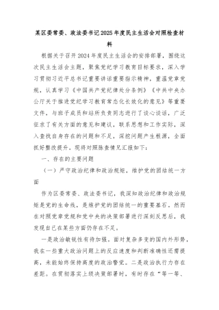 某区委常委、政法委书记2025年度民主生活会对照检查材料