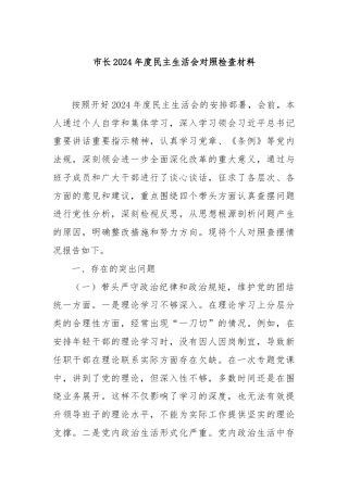 市长2024年度民主生活会对照检查材料