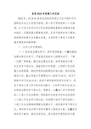 县局2024年党建工作总结