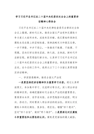 学习习近平总书记在二十届中央纪委四次全会上的重要讲话精神心得体会