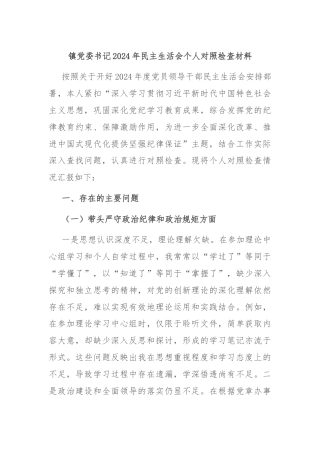 镇党委书记2024年民主生活会个人对照检查材料