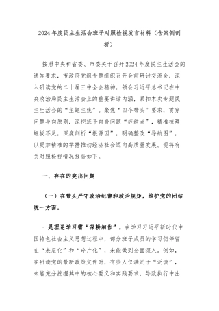 2024年度民主生活会班子对照检视发言材料（含案例剖析）