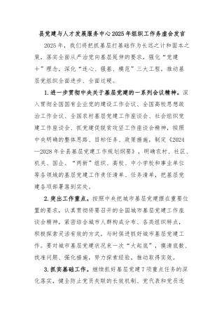 县党建与人才发展服务中心2025年组织工作务虚会发言