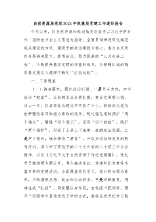 自然资源局党组2024年抓基层党建工作述职报告