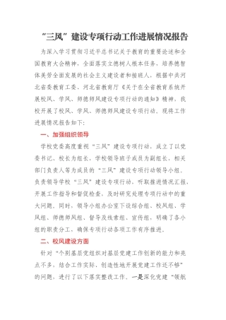 “三风”建设专项行动工作进展情况报告