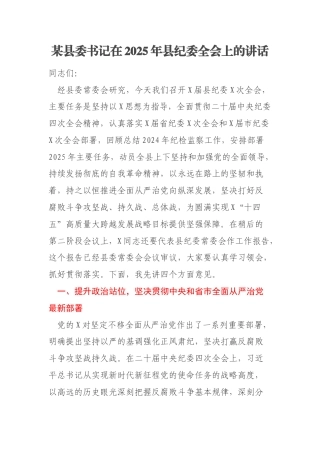 某县委书记在2025年县纪委全会上的讲话
