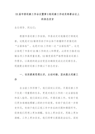 XX届市委巡察工作会议暨第X轮巡察工作动员部署会议上的表态发言