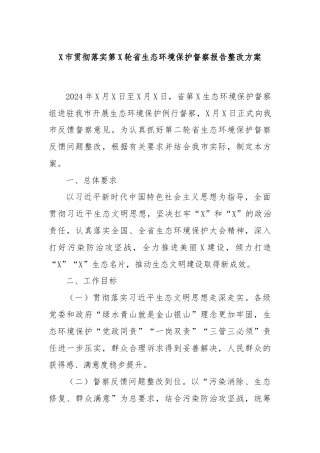 X市贯彻落实第X轮省生态环境保护督察报告整改方案