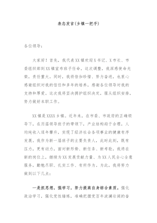 表态发言(乡镇一把手)