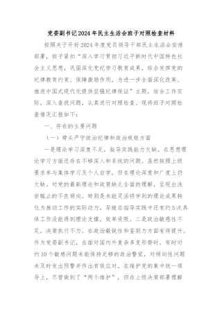 党委副书记2024年民主生活会班子对照检查材料