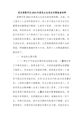 党支部副书记2024年度民主生活会对照检查材料