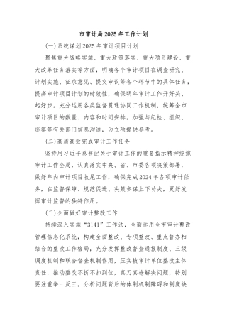 市审计局2025年工作计划
