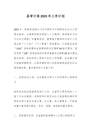 县审计局2025年工作计划