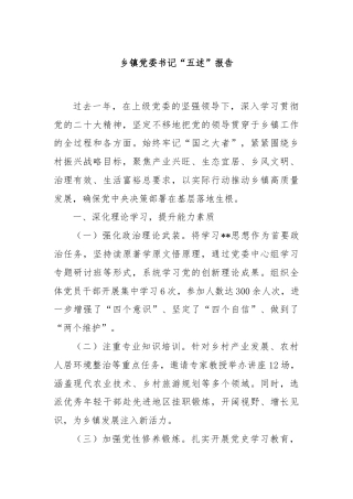 乡镇党委书记“五述”报告