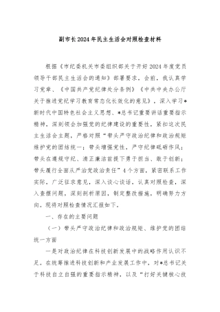 副市长2024年民主生活会对照检查材料