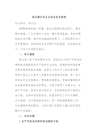 某区镇长民主生活会发言提纲