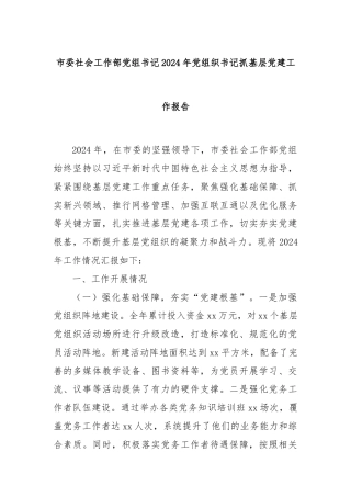 市委社会工作部党组书记2024年党组织书记抓基层党建工作报告