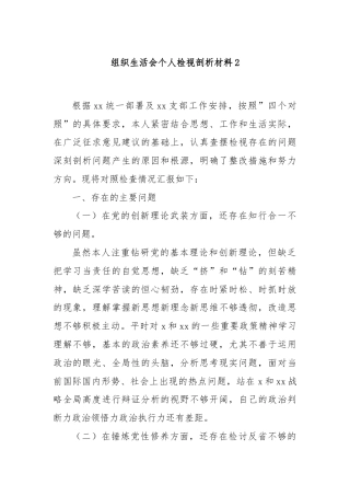 组织生活会个人检视剖析材料2