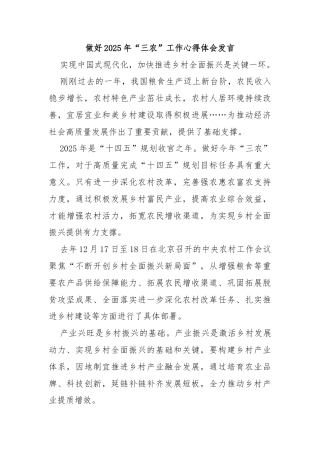 做好2025年“三农”工作心得体会发言