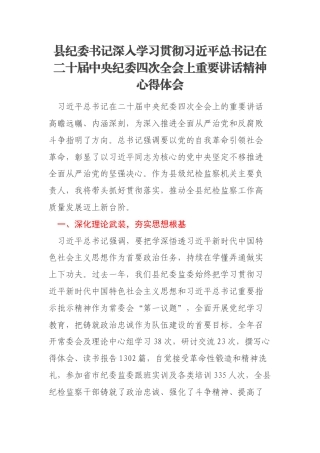 县纪委书记深入学习贯彻习近平总书记在二十届中央纪委四次全会上重要讲话精神心得体会