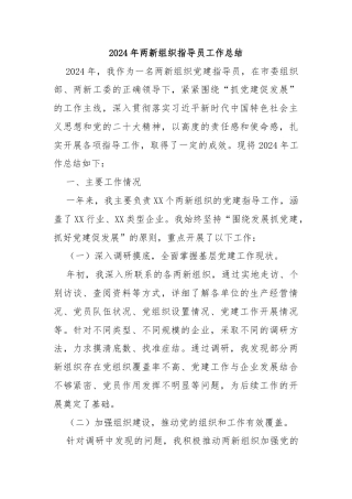 2024年两新组织指导员工作总结