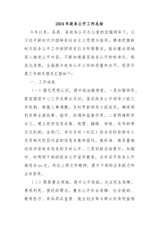 2024年政务公开工作总结2