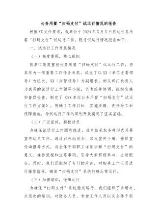 公务用餐“扫码支付”试运行情况的报告