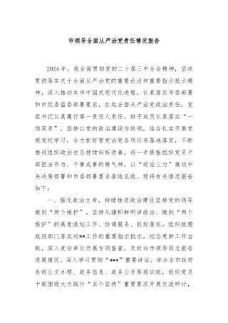市领导全面从严治党责任情况报告