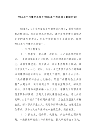 2024年工作情况总结及2025年工作计划（集团公司）