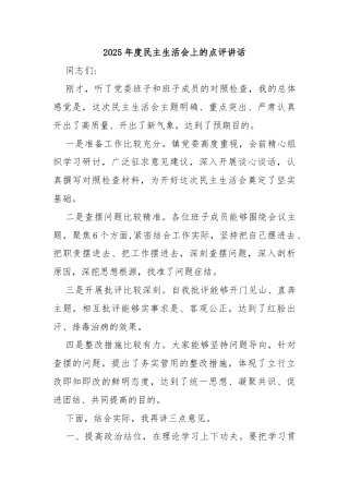 2025年度民主生活会上的点评讲话