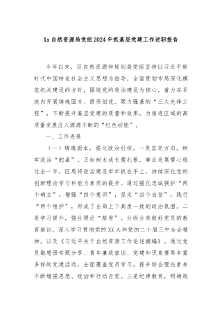 Xx自然资源局党组2024年抓基层党建工作述职报告